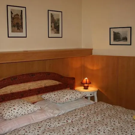 茨德拉兹酒店 公寓 布拉格